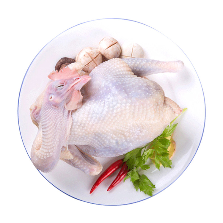 土鸡农家散养老母鸡新鲜 鸡走地鸡900g